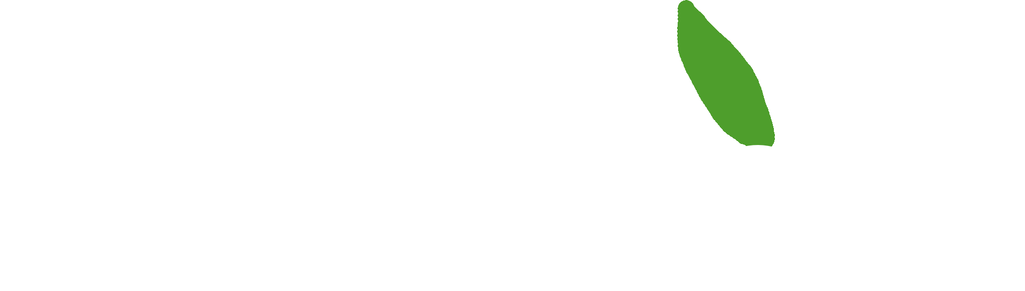 Logo du jeu Little Plant